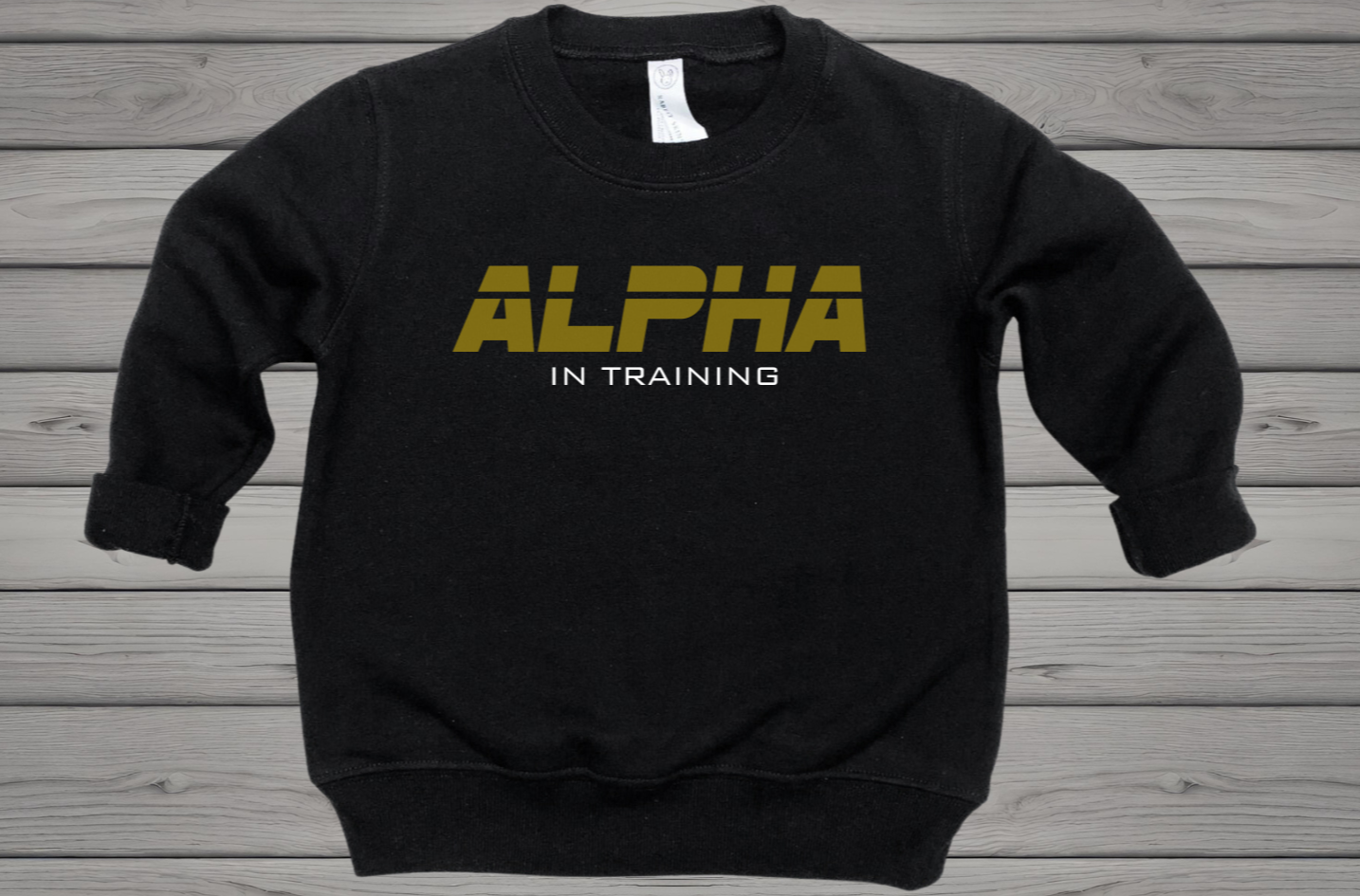 Retro Alpha in Training TODDLER Sweatshirt