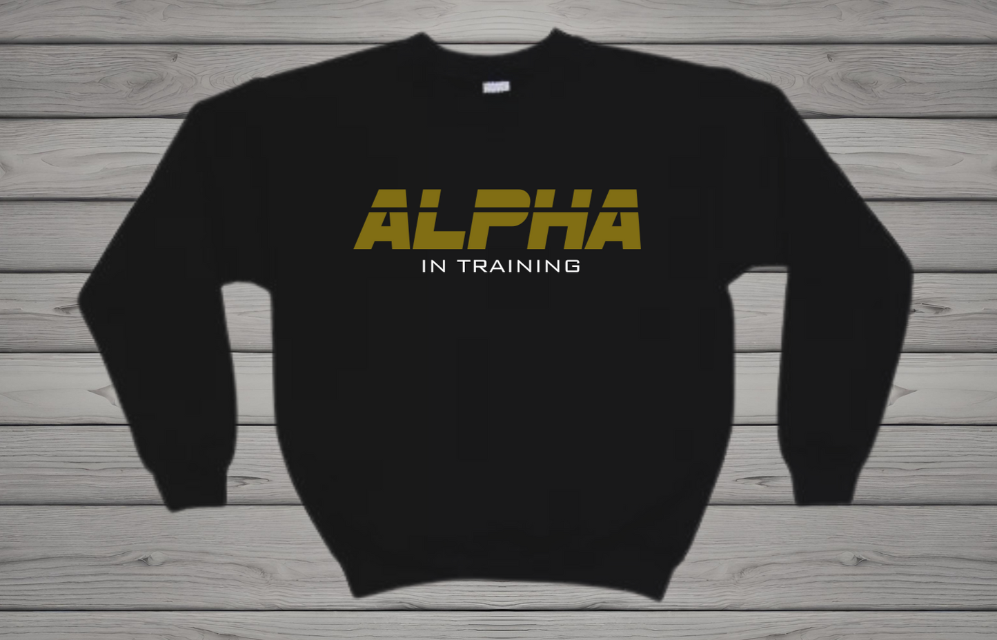 Retro Alpha in Training YOUTH Sweatshirt