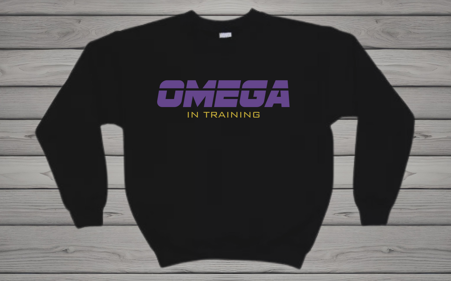 Retro Omega in Training YOUTH Sweatshirt